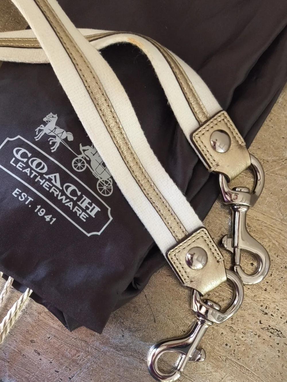 Coach Poppy Bag ✨